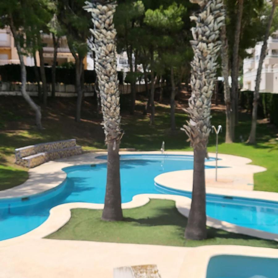 Apartament Ines, Dehesa De Campoamor,900m From The Sea , Swimming Pool & Tennis Court Campoamor